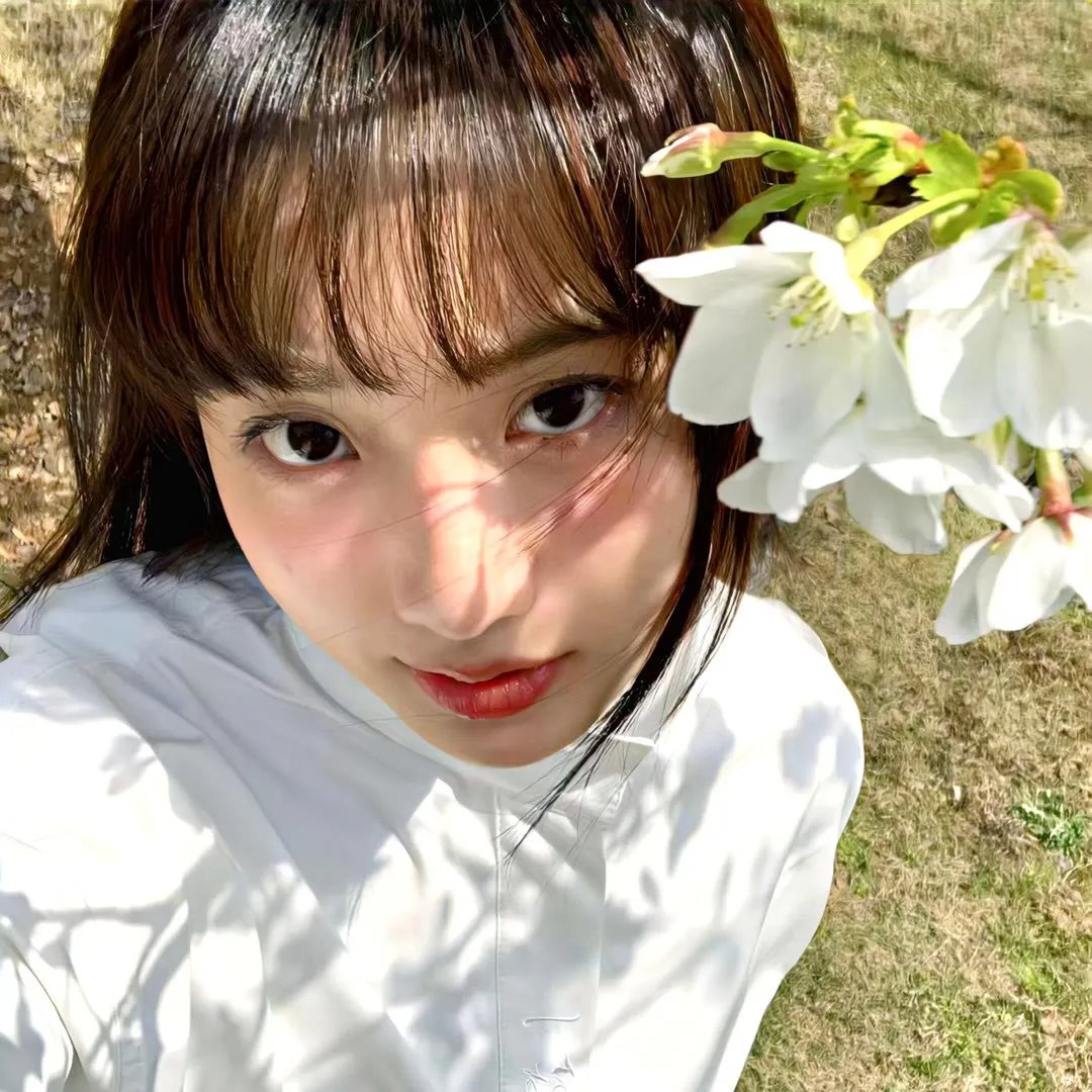 花开蝶满枝